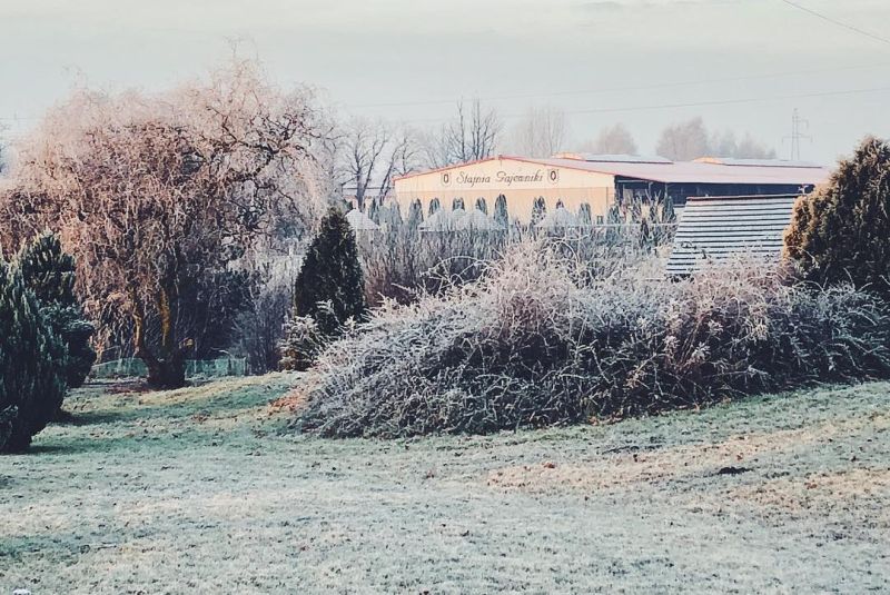 Jeździec i koń w harmonii